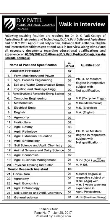 DYP Teaching Faculty Recruitment 2017