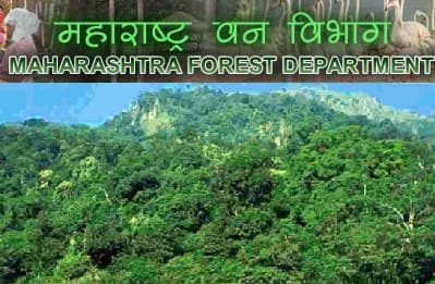 चंद्रपूर वन प्रशासन मध्ये 01 जागांसाठी भरती २०१९