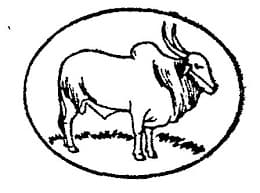 Shetkari Sahakari Sangh Ltd Bharti 2025: शेतकरी सहकारी संघ लिमिटेड, कोल्हापूर मध्ये ‘या’ रिक्त पदांची नवीन भरती सुरु २०२५.