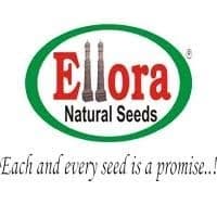 Ellora Seeds Chhatrapati Sambhaji Nagar logo